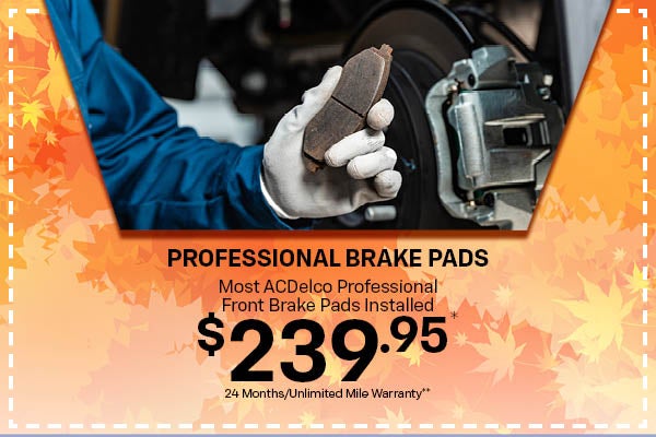 Professional Brake Pad Special